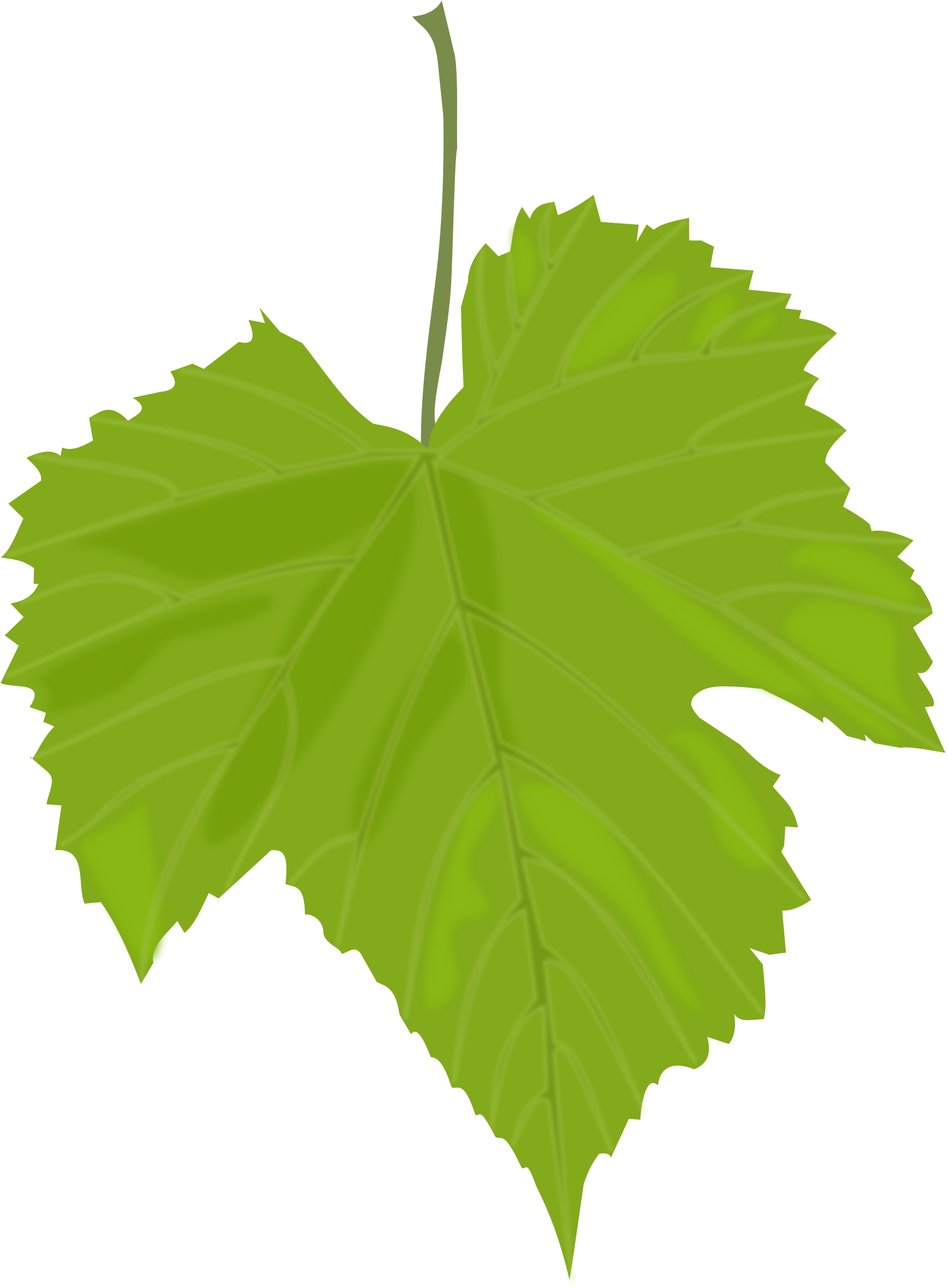 522 views Green leaves PNG images free download pictures