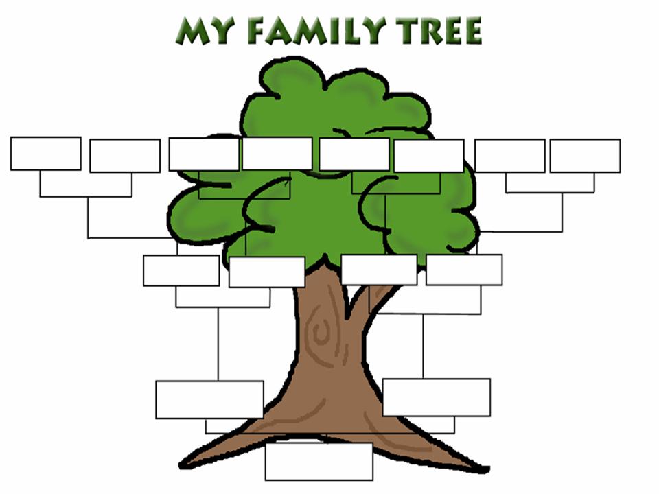 Family Tree Outline Clipart
