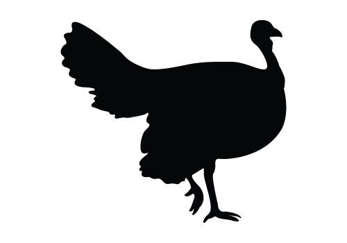 45+ Wild Turkey Silhouette Clip Art