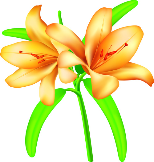 flowers designs clip art free download - photo #21