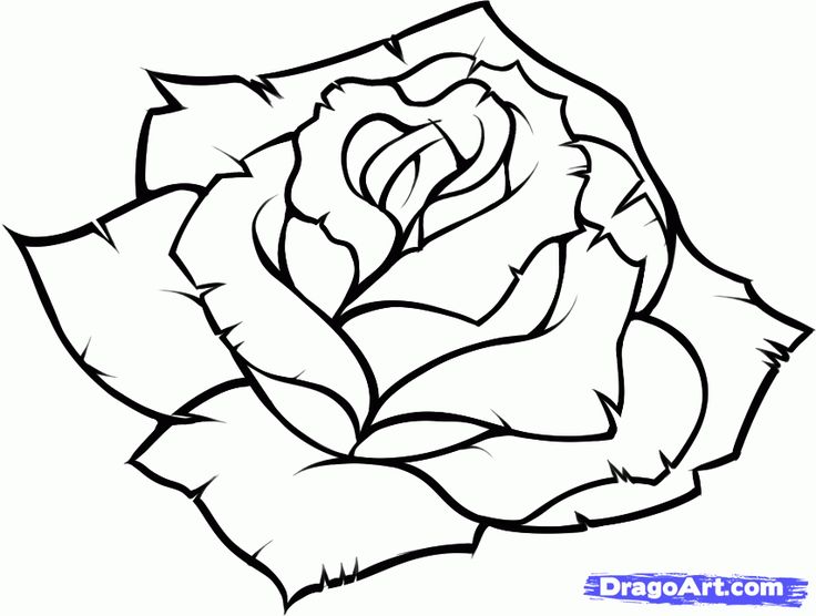 How To Draw Roses | Drawing ...