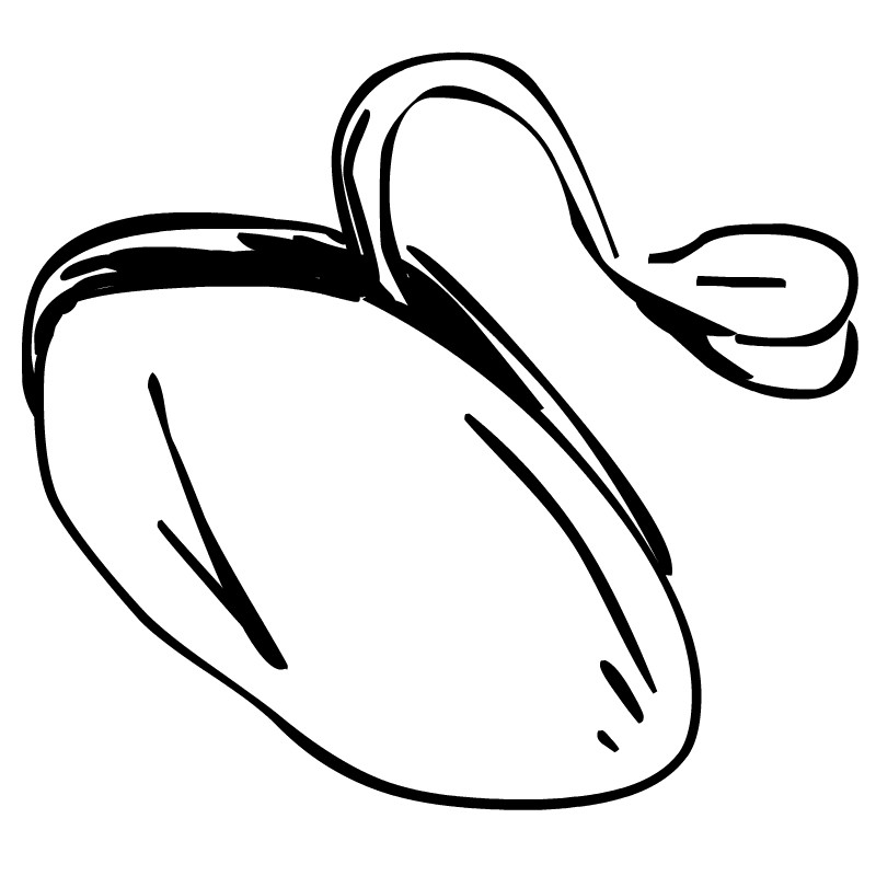 Seeds clipart black and white