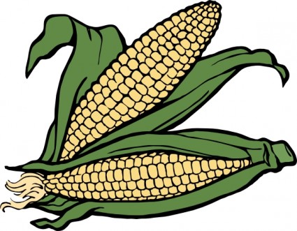 Corn plant clipart image #12587