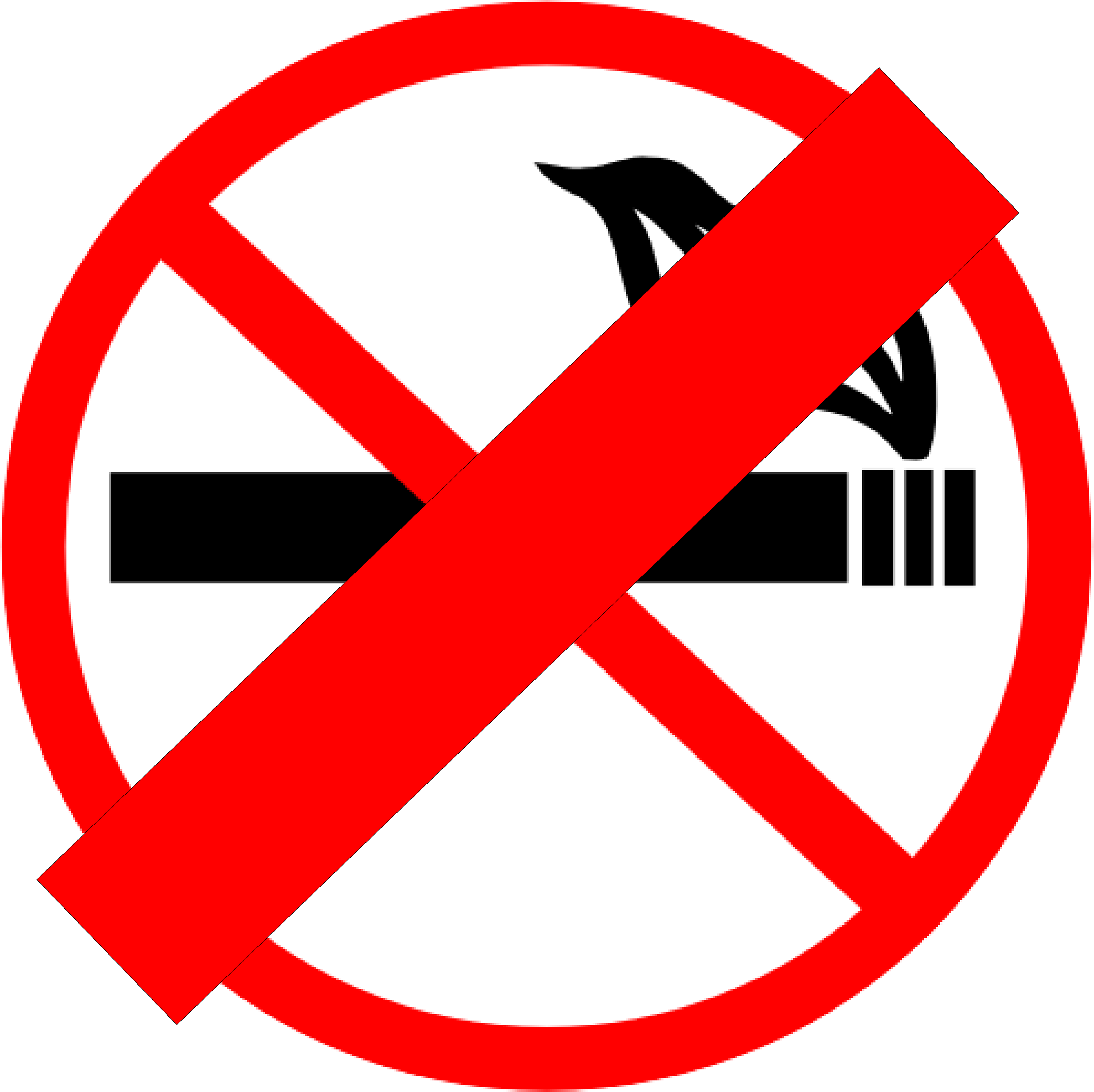 File:No no smoking.png