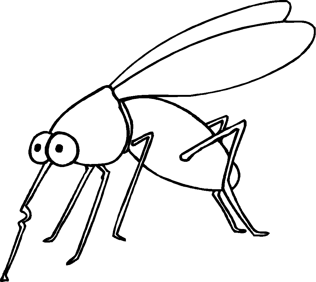Insect To Color Clipart