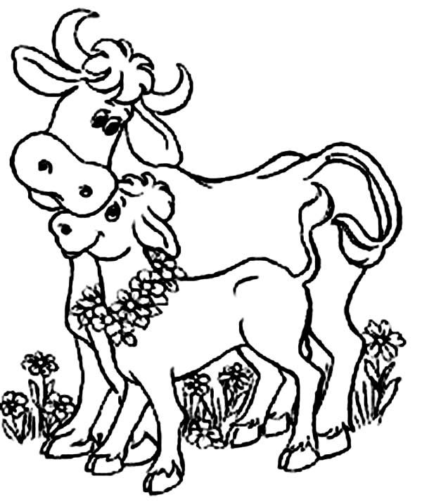 Indian Cow and Her Baby Cow Coloring Page | Kids Play Color - ClipArt