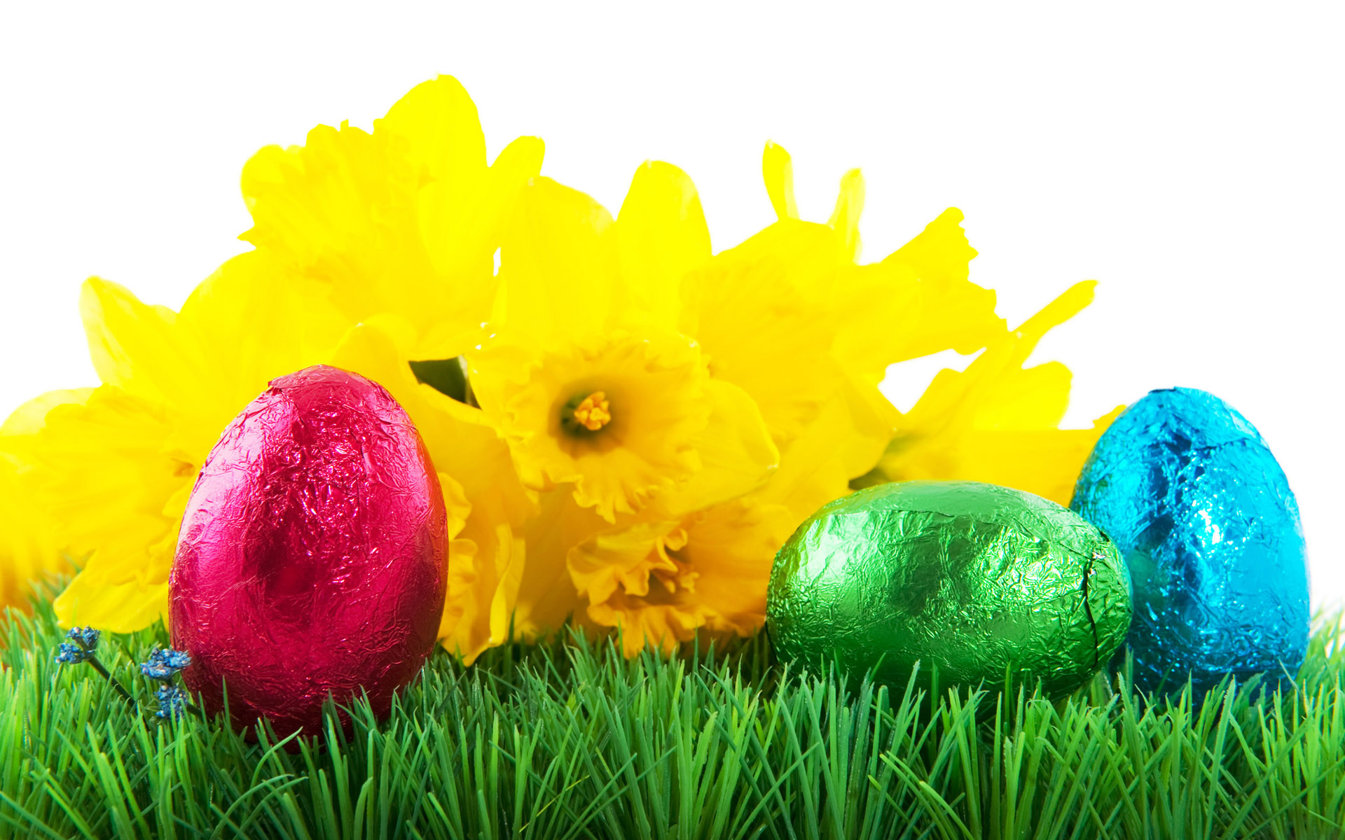 Easter eggs on grass wallpapers and images - wallpapers, pictures ...