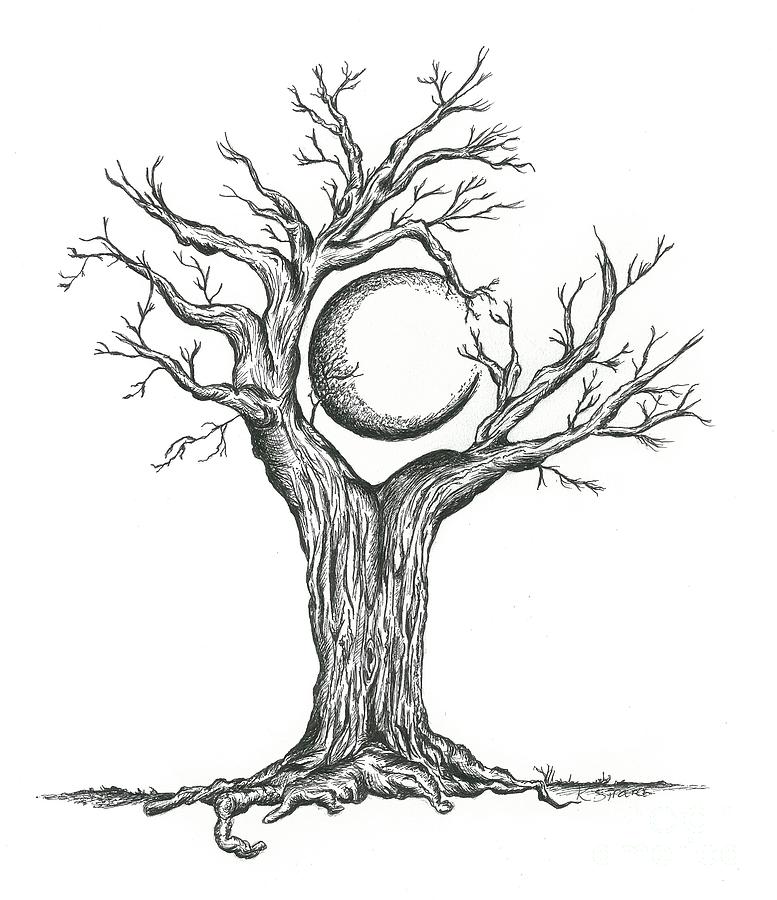 Tree Craddling Crescent Moon Drawing by Karen Sirard - Tree ...