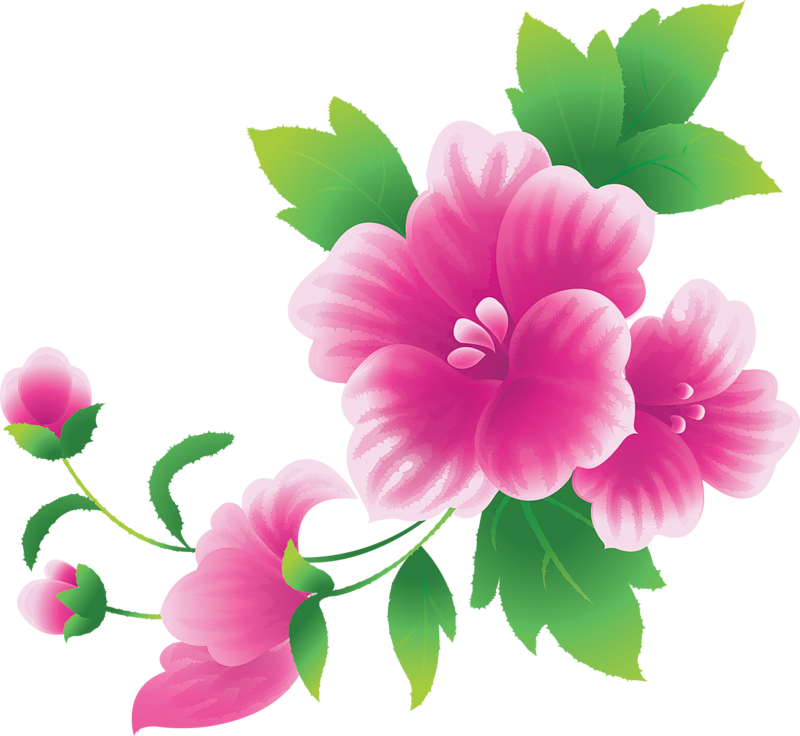 free clip art australian flowers - photo #30