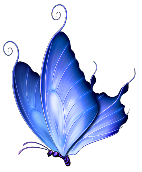 png clipart- butterfly pack - photo #23