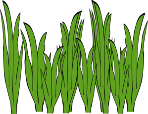 Seagrass Clip Art - vector clip art online, royalty ...