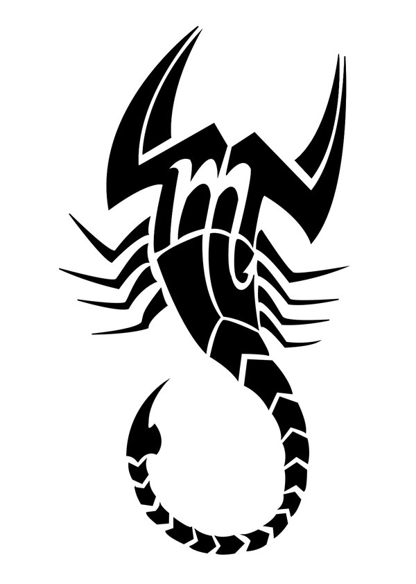 scorpion artwork clipart best scorpion artwork clipart best