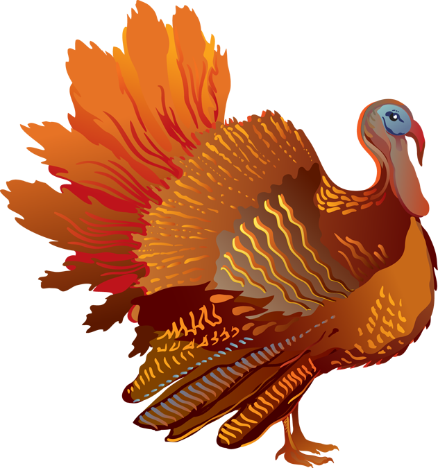 A Colorful Turkey