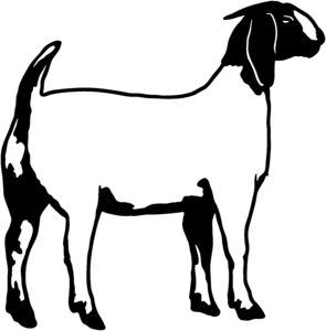 Goat clipart outline easy study - dbclipart.com