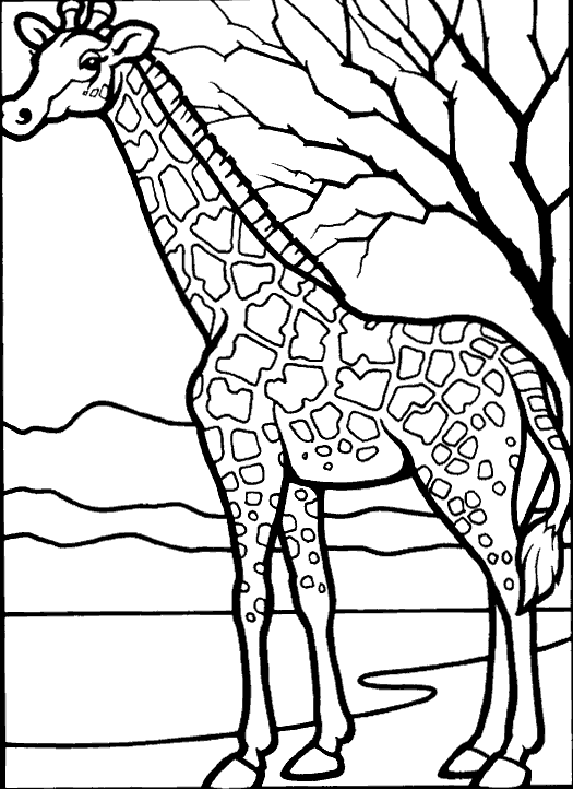 Giraffes Coloring Pages - Learny Kids