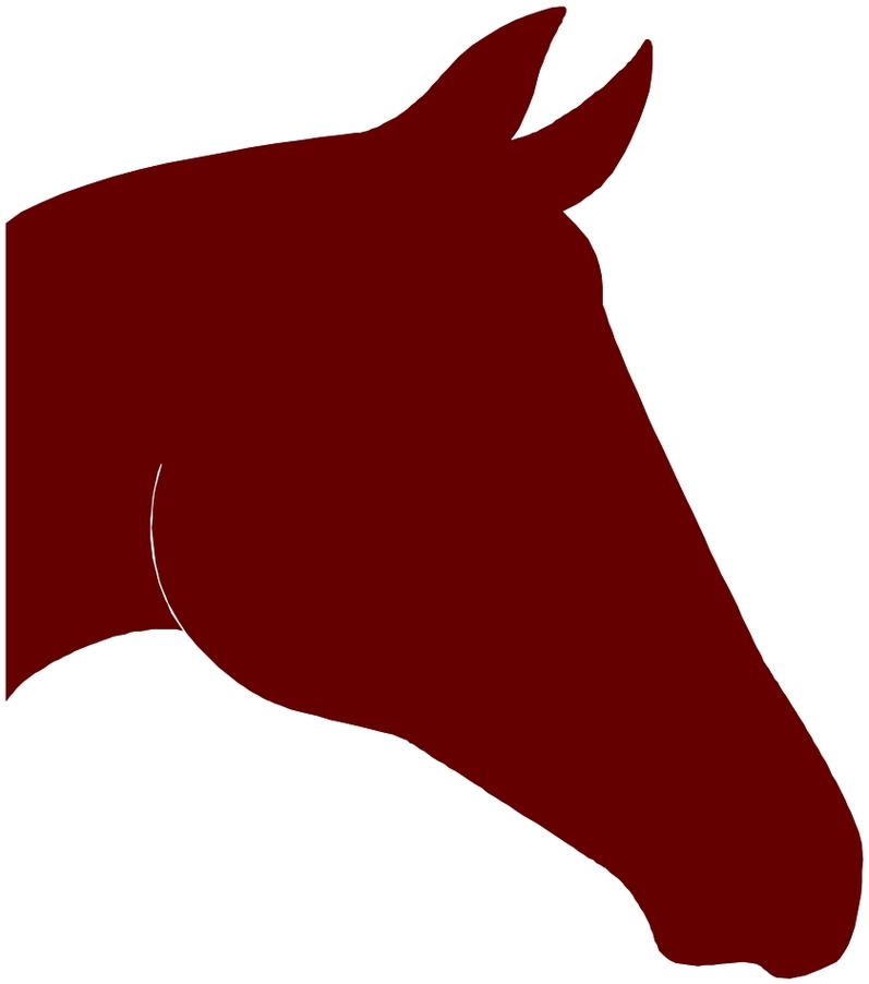 Horse Head Cartoon Clipart - Free to use Clip Art Resource