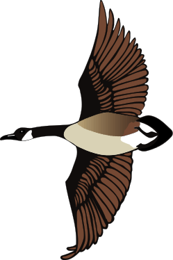 Clip Art Flying Geese Clipart
