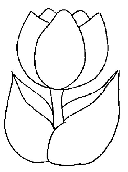 Tulip Flower Template ClipArt Best