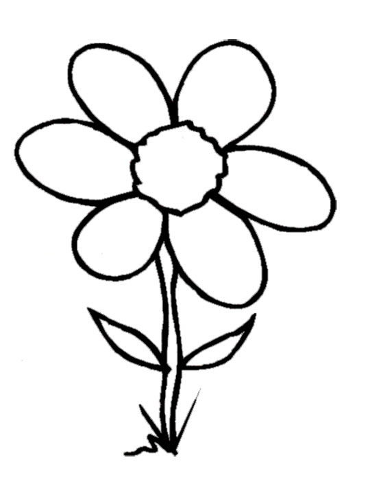 Coloring Book Flowers Art - Coloring Pages - ClipArt Best - ClipArt Best