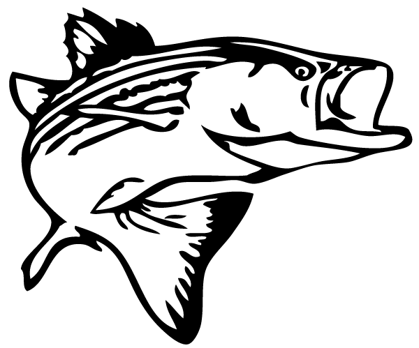 Bass Fish Clipart Black And White