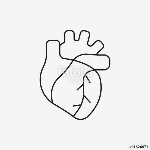organ heart line icon" Stock image and royalty-free vector files ...