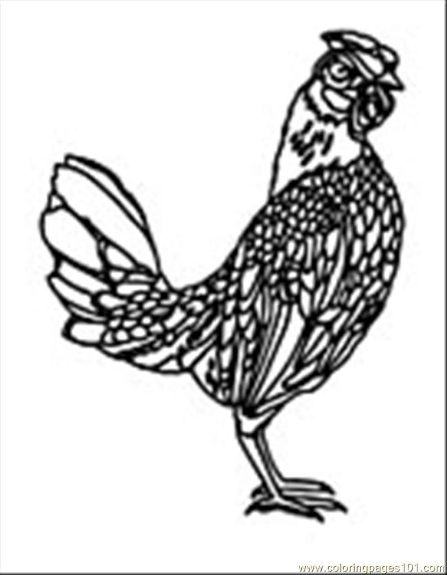 1000+ images about Templates and Designs - Roosters and Chickens ...