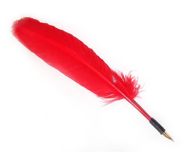 Quill Pens and Feather Quills for Traditional Writing - Discover ...