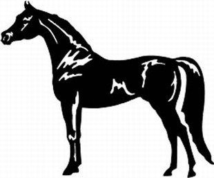 Arabian horse decal :: Horses :: ANIMAL DECALS :: Decals :: Custom ...