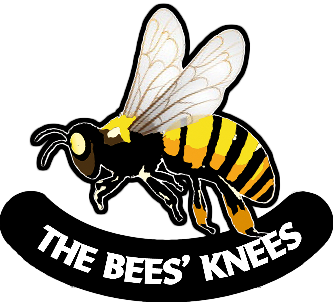bee's knees clipart - photo #12