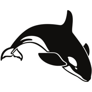 killer whale clipart | Hostted