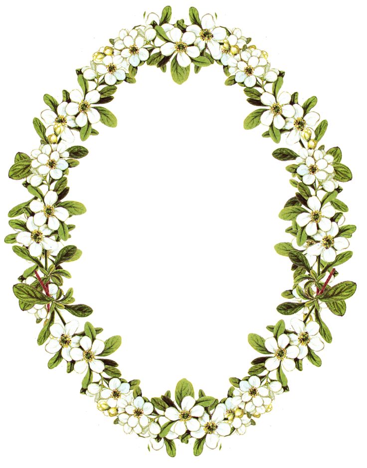 Antique oval picture frame png file without background clipart ...