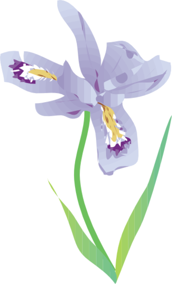 Iris Free Clip Art Clipart - Free to use Clip Art Resource