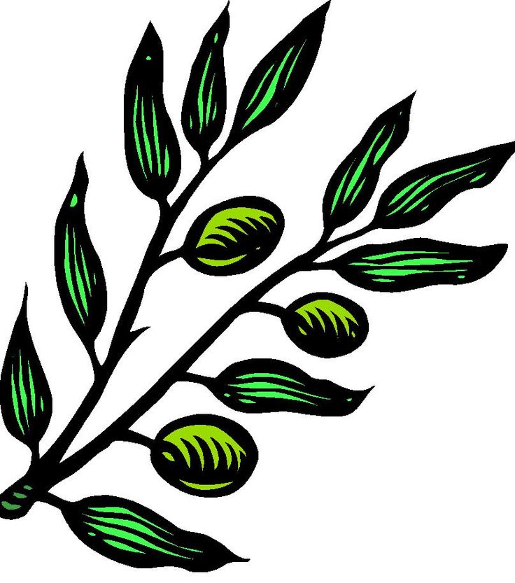 Clip art olive branch