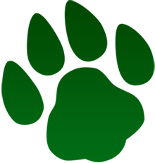 Going Green – Reducing your Assistance Dog's Carbon Pawprint ...