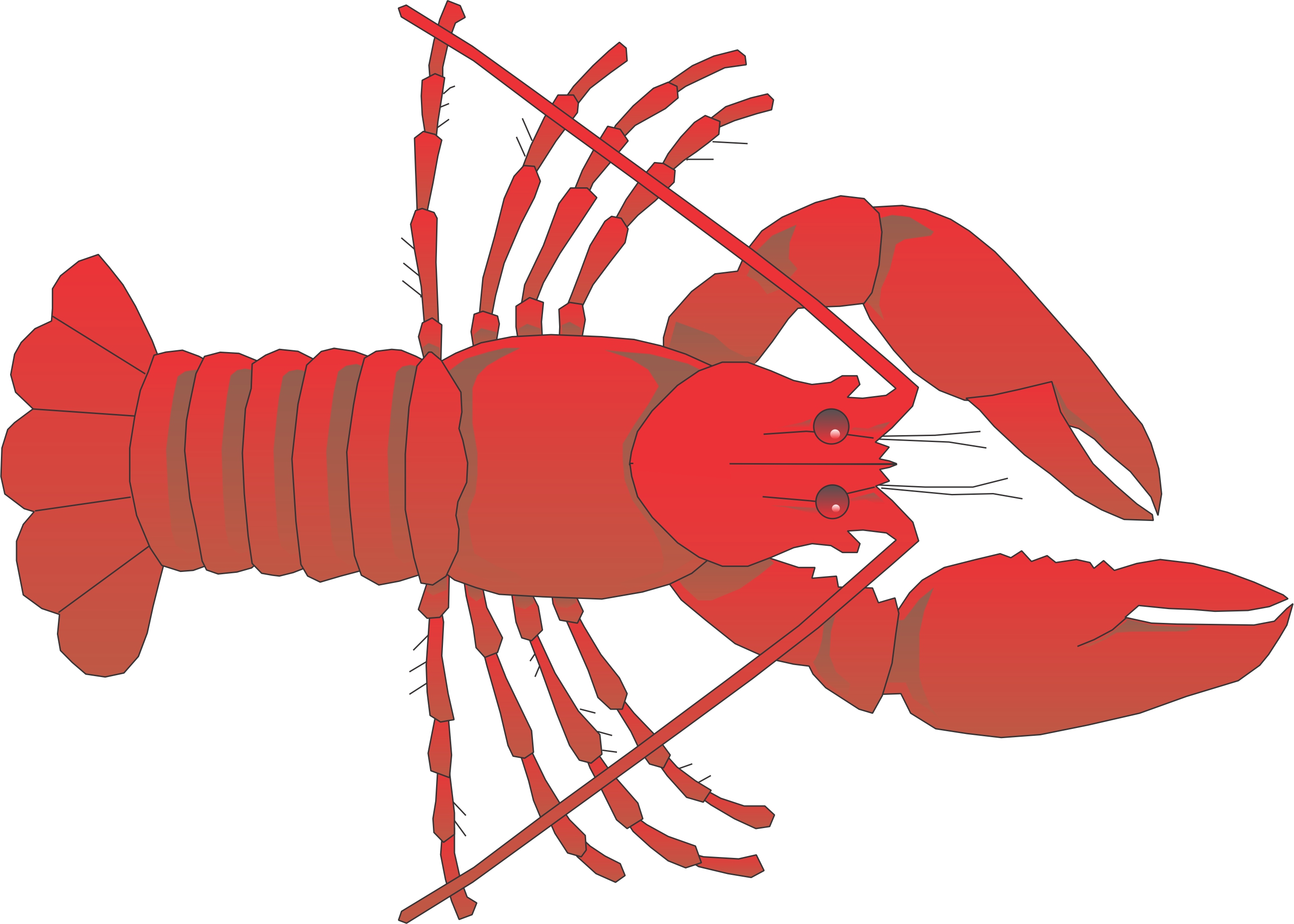Cartoon lobster clip art