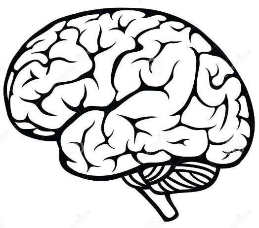 brain clip art svg - photo #7