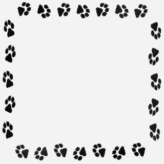 Dog borders shop