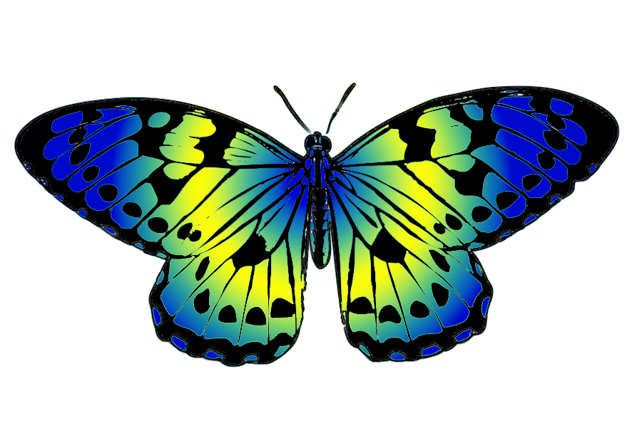 599 views Butterfly Clipart