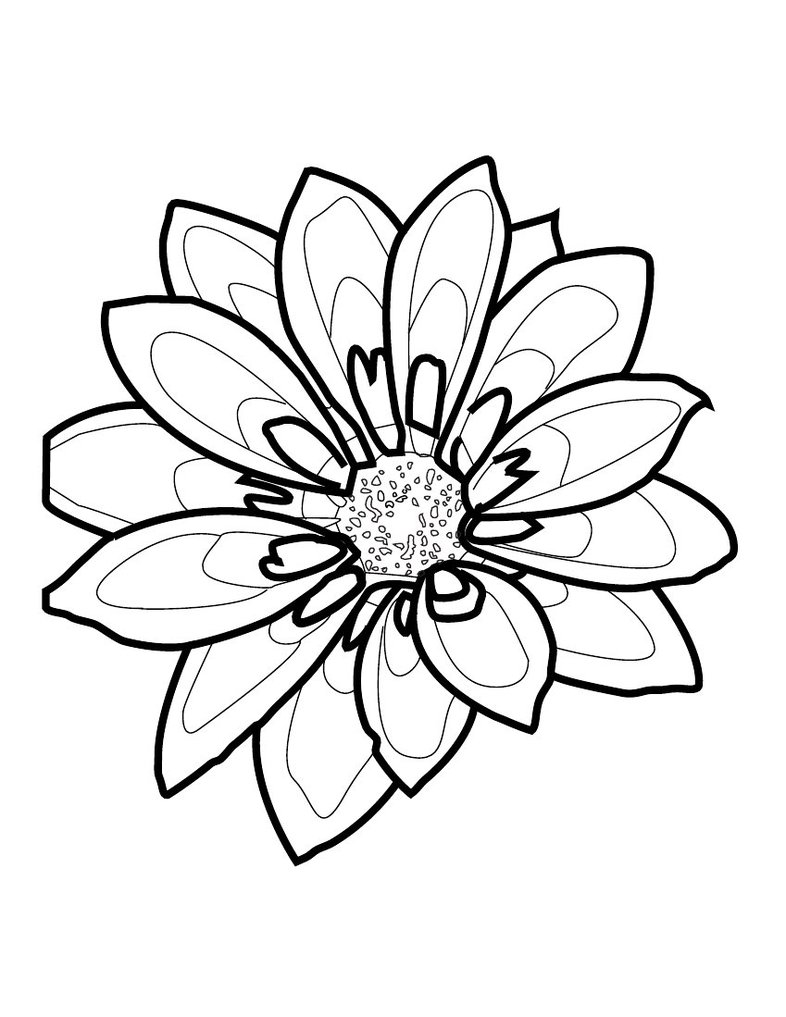 Outline drawings, Drawings and Flower