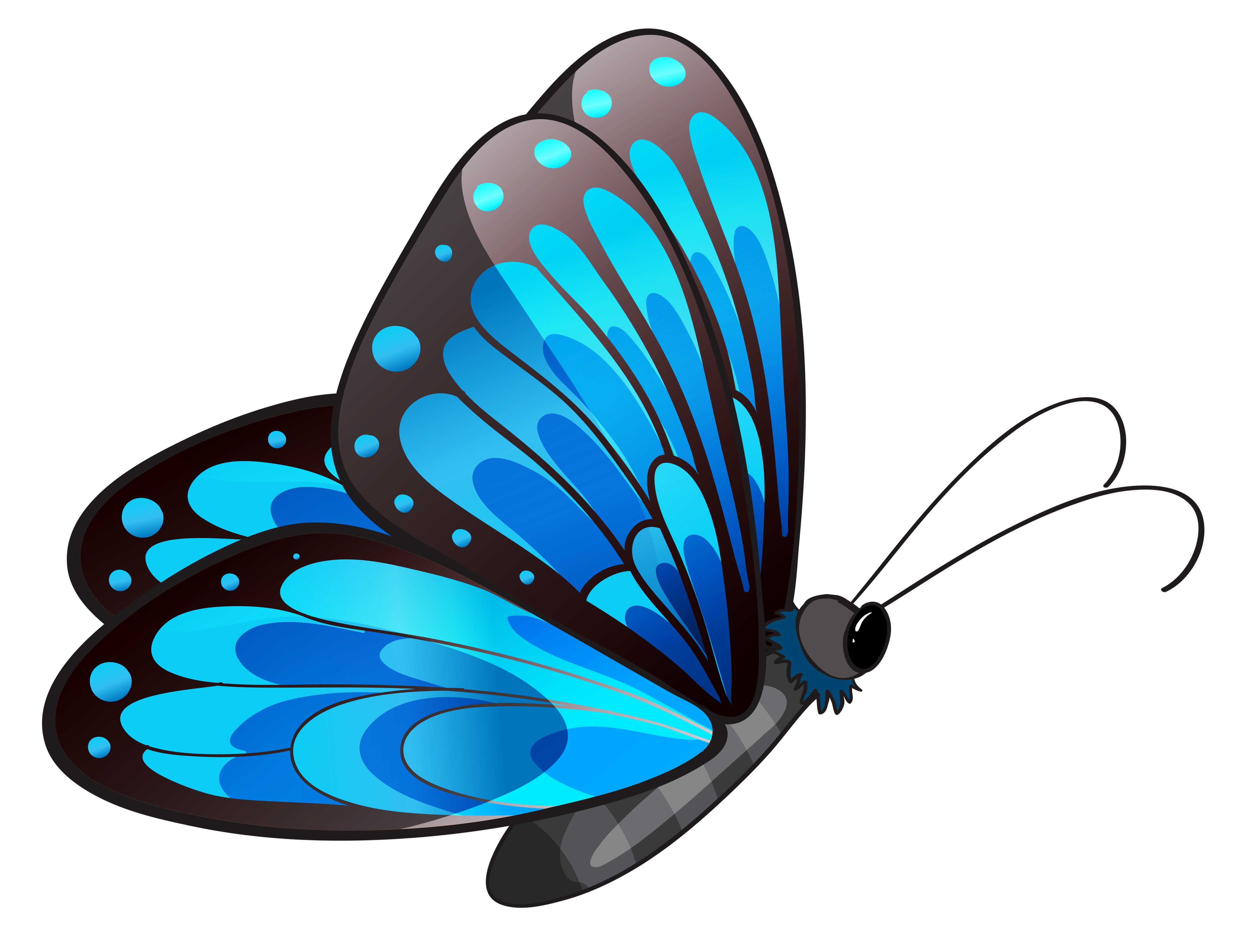 522 views Pink blue butterfly clipart transparent background