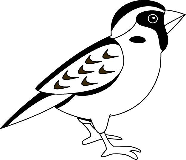 Sparrow 20clipart - Free Clipart Images