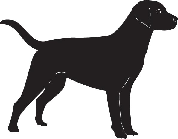 dog clipart vector - photo #6