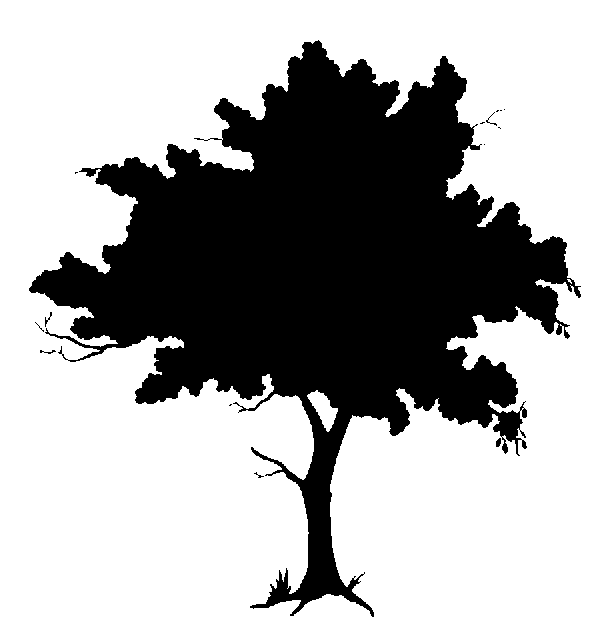 Oak Tree Silhouette - Free Clipart Images