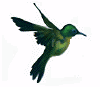 Free Animated Birds Gifs, Free Bird Animations and Clipart