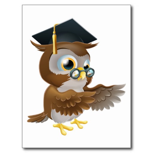Teacher owl pointing postcard | Zazzle.