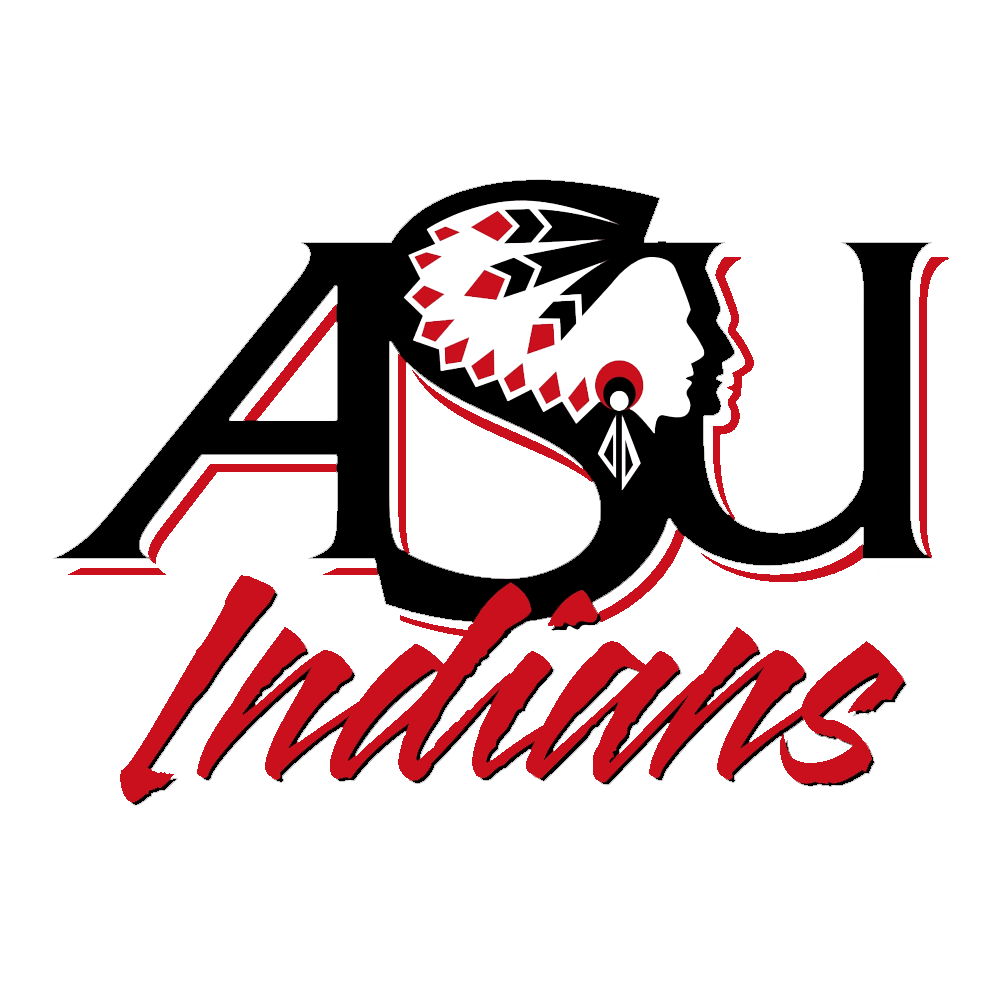 Results / Native American Imagery in Sports Logos