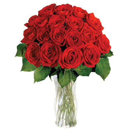 18 Red Long Stem Roses | Discount Red Roses | Arttowngifts.