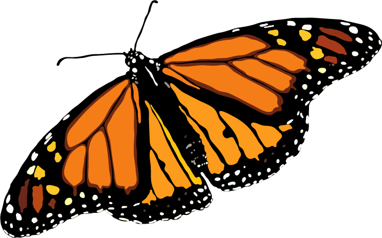 clip art free monarch butterfly - photo #50