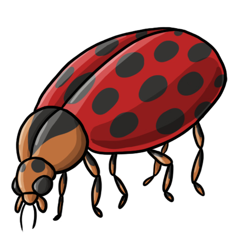 FREE Ladybug Clip Art 19