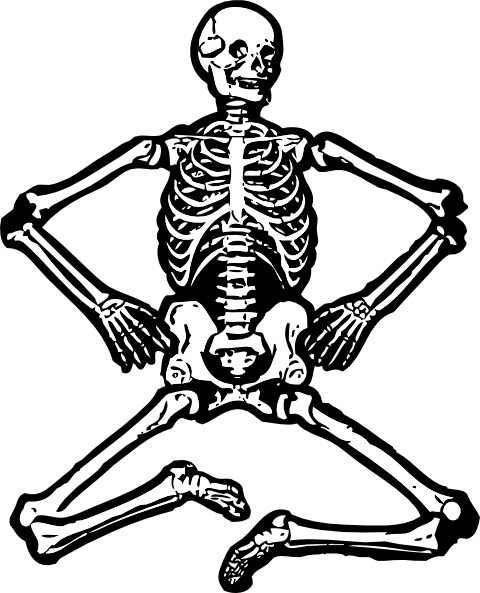 Human Skeleton clip art - vector clip art online, royalty free ...